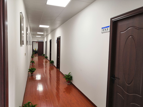  Appareils électriques Cie., Ltd de Wenzhou Jiayang.